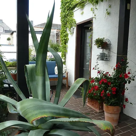 Dora Brand Apartment