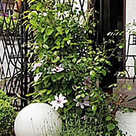 Διαμέρισμα Dora Brand Άρνσμπεργκ