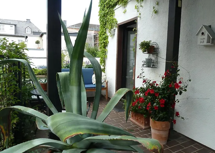 Appartement Dora Brand Arnsberg